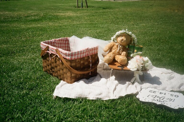 picnic basket in the park with a teddy bear