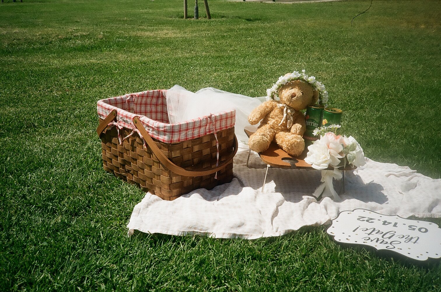 picnic basket in the park with a teddy bear