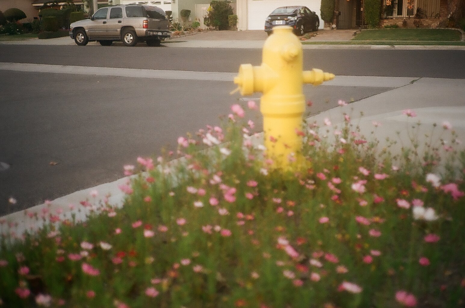 cosmos with fire extinguisher