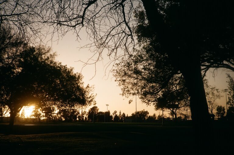 Sunset at the park