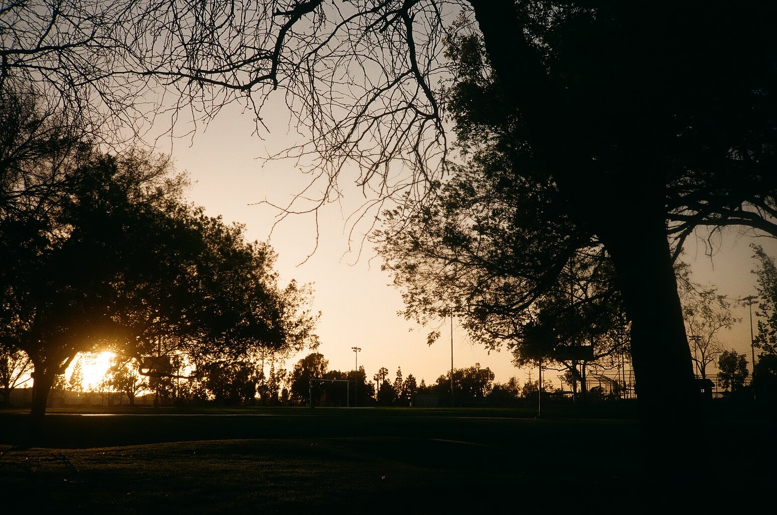 Sunset at the park