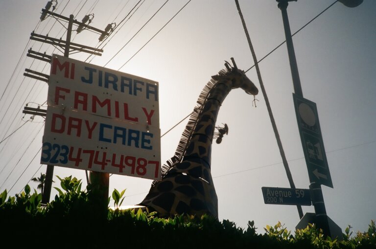 daycare with giraffe