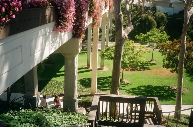 Two people under a flower bridge